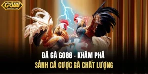 Đá Gà Go88 – Khám Phá Sảnh Cá Cược Gà Chất Lượng
